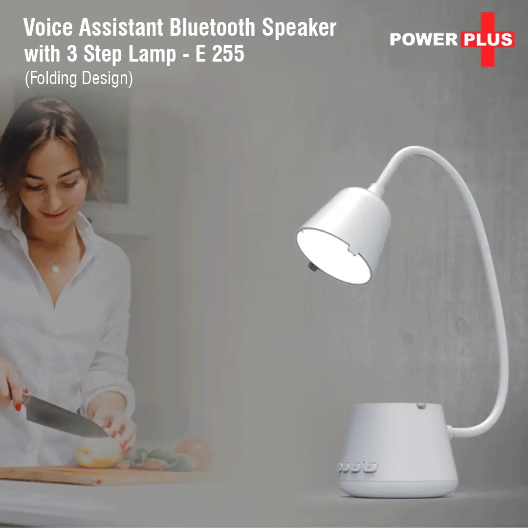 Voice Assistant Bluetooth speaker with 3 step lamp (folding design)