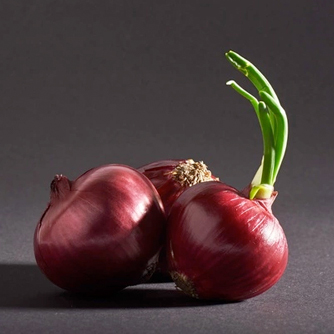 Red Onions (Allium Cepa)