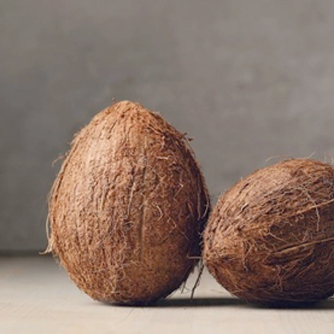 Coconut (Cocos Nucifera)