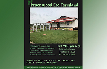 peace Wood Eco Farm Land